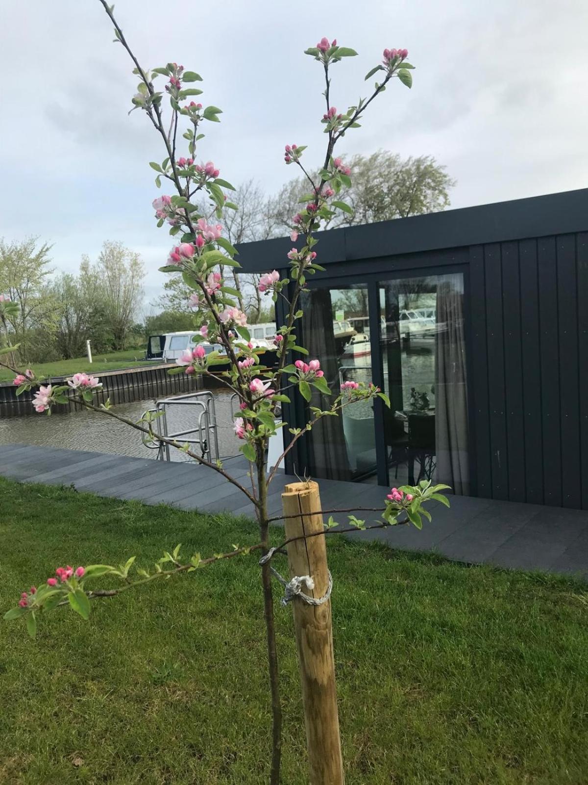 Uniek Overnachten In Een Tiny House Op De Appelhof Wommels Экстерьер фото